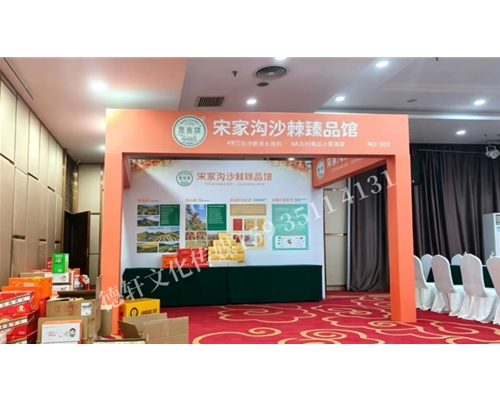 宋家沟展会布置